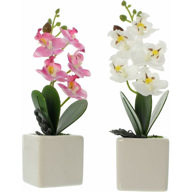 Decoratieve orchidee in pot Set van 2