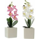 Orchidée décorative en pot, lot de 2