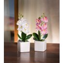 Decorative orchid in pot set of 2