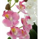 Deko-Orchidee im Topf im 2er Set