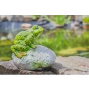 Welcome stone with frog, about 18 cm