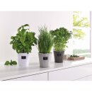 Metalen plantenbak Nature, set van 3