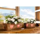 Plant box bark, set of 2