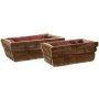 Plant box bark, set of 2