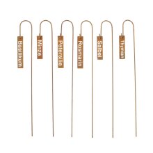 Plant plug Herbs, set of 6