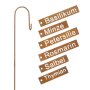 Plantplug Kruiden, set van 6