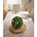 LED Bal "Buxus" 27 cm