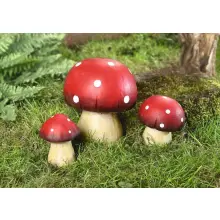 Mushrooms