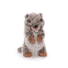 Marmot MARLI