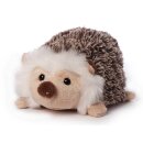 Hedgehog IGLI