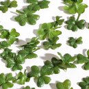 Shamrocks/klaverblad strooisel decoratie groen 1,5-3cm...