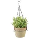 Aged terracotta pot, hanging, L