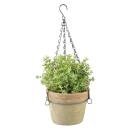 Verouderde terracotta pot, hangend, L