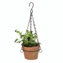 Aged terracotta pot, hanging S