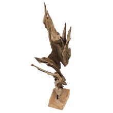 Teakholz-Fragment mit Bodenplatte 50-60cm