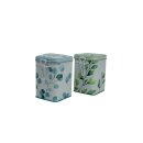 Teedosen Trees 150 g, 2er Set