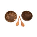 Coconut shell with spoon, set of 2