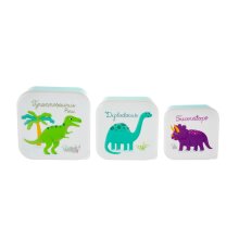 Lunch box lunch box Dinosaur in set of 3