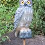 Vogelschreck Eule