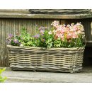 Rattan planter box