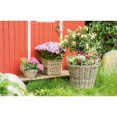 Planter planter basket rattan, about 27 x 25 cm