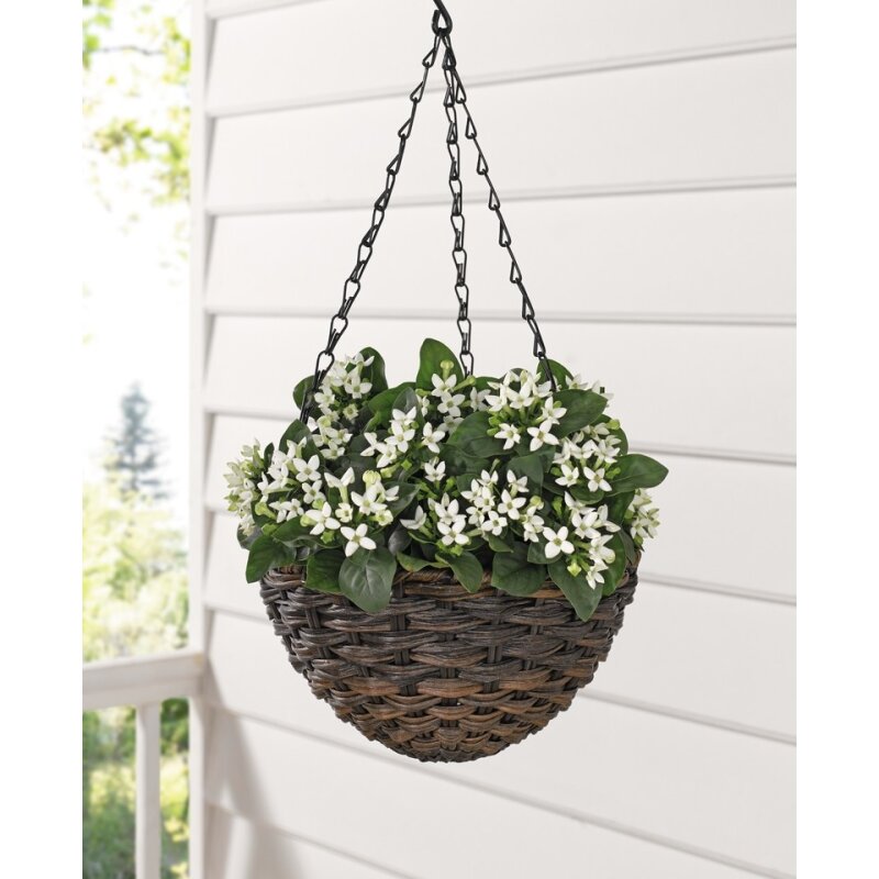 Pflanzampel Polyrattan