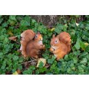 Squirrel set of 2