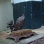 Schuhbürste Eichhörnchen