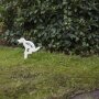 Hundeschild "Nein!" in Weiß, h ca. 31,5 cm