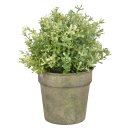 Aged Metal Grün Pot de fleurs 0,9L I Ø ca....