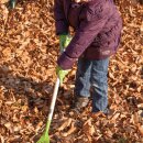 Children rake green