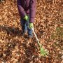 Children rake green