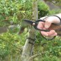 Bonsai scissors made of sturdy steel