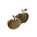 Decorative mango wood apples, set of 2