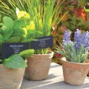 Kunstmatige kruiden - Pot Lavendel - S