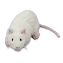 Pluche knuffel rat, ca. 20 cm