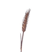 Spike plug, approx. 18 x 60 cm made of metal in rust look for indoors and outdoors