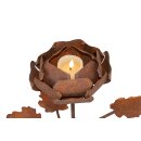 Rose pour bougies à chauffe-plat, fiche de jardin