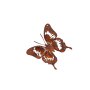 Schmetterling zum Hängen, ca. 12 x 12 cm