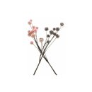 Zweig "Blüten", charmantes 2er-Set mit...