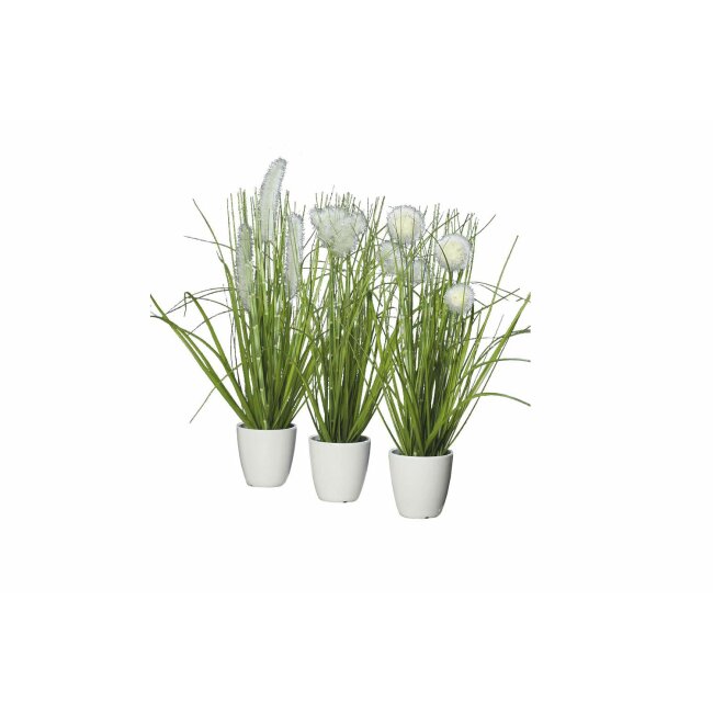 Gras im Topf, grün/creme, ca. 36 cm, 3er Set