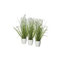 Gras im Topf, grün/creme, ca. 36 cm, 3er Set