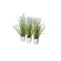 Herbe en pot, vert/crème, env. 36 cm, lot de 3