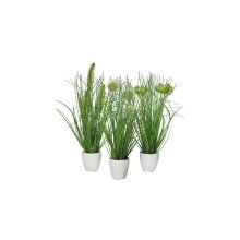Gras im Topf, grün, ca. 36 cm, 3er-Set in weißen Töpfen