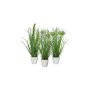 Herbe en pot, vert, env. 36 cm, lot de 3