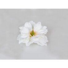 Magnolia floating white
