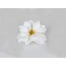 Magnolia floating white