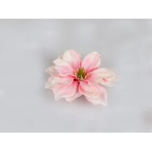 Magnolia floating pink