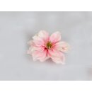Magnolia floating pink