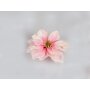 Magnolia floating pink